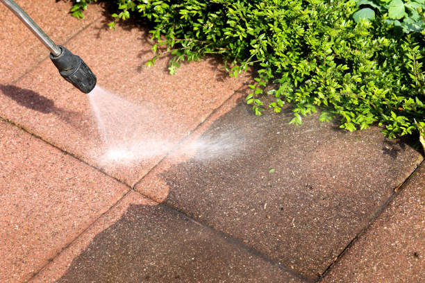 Best Concrete Pressure Washing  in Shenandoah, PA